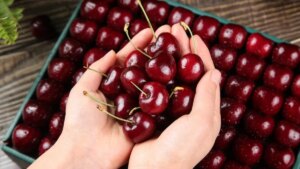 Triple negative breast cancer: this summer fruit with unsuspected virtues slows down tumors in mice